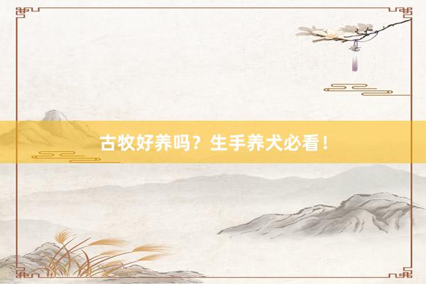 古牧好养吗？生手养犬必看！