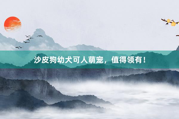 沙皮狗幼犬可人萌宠,值得领有!
