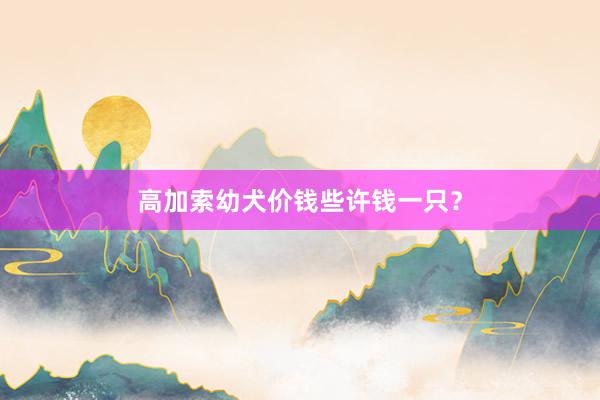 高加索幼犬价钱些许钱一只？